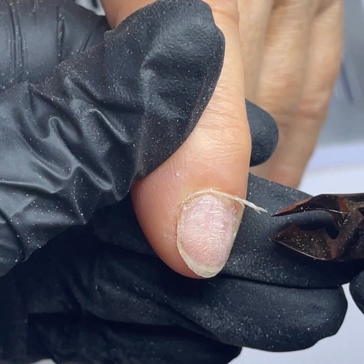 Online LIVE Schulung: Russische Maniküren mit Gellack / Shellac - Doriana Cosmetics GmbH